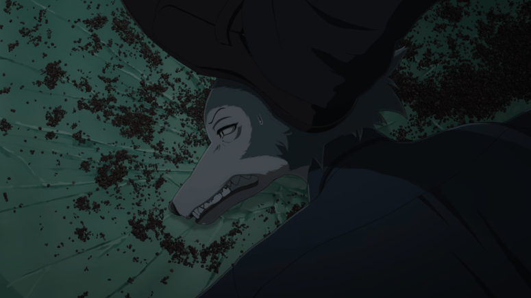 Beastars Final Season Episodes 5 and 6 Reviews – Anime Rants