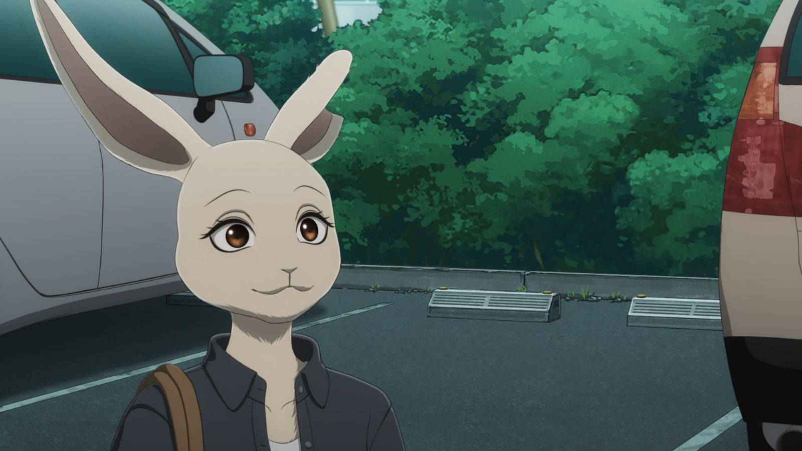 Beastars Final Season Episodes 13 to 15 Reviews – Anime Rants
